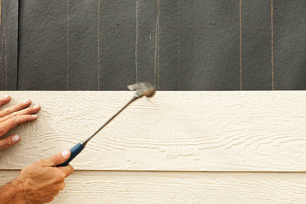 Best Insulated Siding Installation  in Pasadena, CA